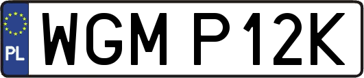 WGMP12K