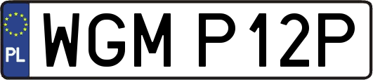 WGMP12P