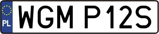 WGMP12S
