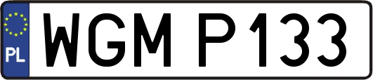 WGMP133