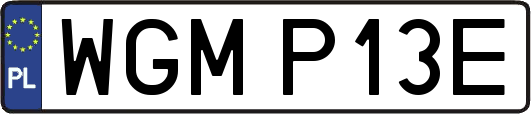 WGMP13E