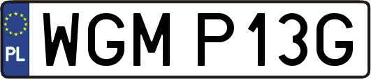 WGMP13G