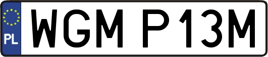 WGMP13M