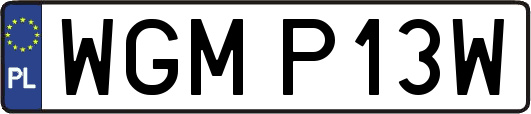 WGMP13W