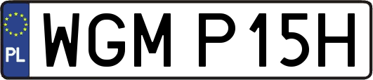 WGMP15H