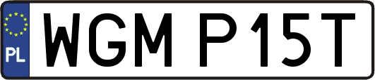 WGMP15T