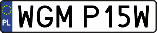 WGMP15W