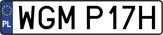WGMP17H