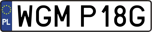 WGMP18G