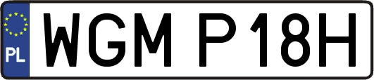 WGMP18H