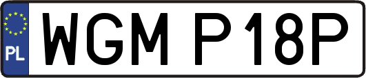 WGMP18P