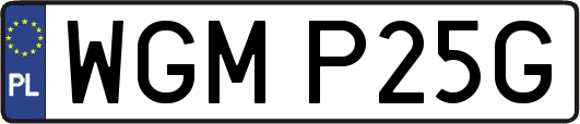 WGMP25G