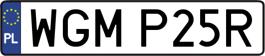 WGMP25R