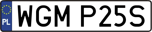 WGMP25S