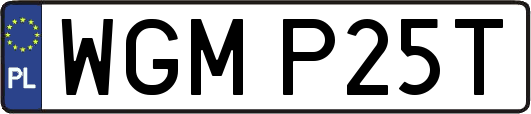 WGMP25T