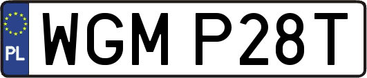 WGMP28T