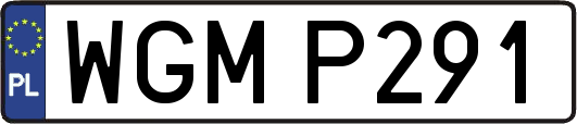 WGMP291