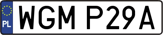WGMP29A