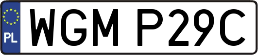 WGMP29C