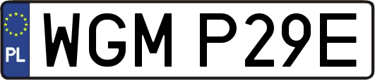 WGMP29E