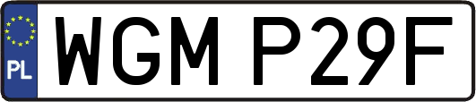 WGMP29F