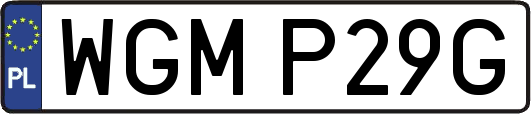 WGMP29G