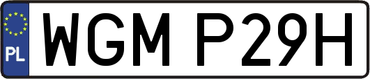 WGMP29H