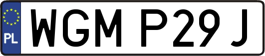 WGMP29J