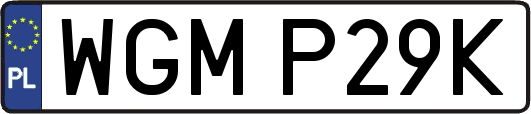 WGMP29K
