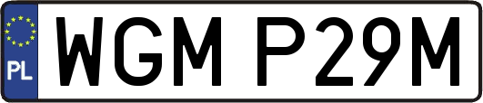 WGMP29M