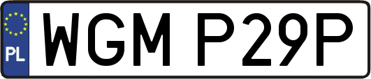 WGMP29P