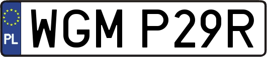 WGMP29R