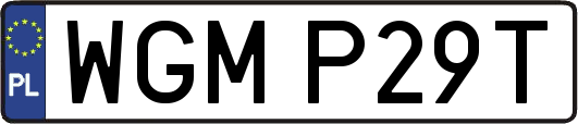 WGMP29T