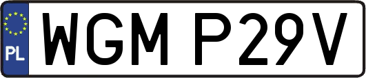 WGMP29V