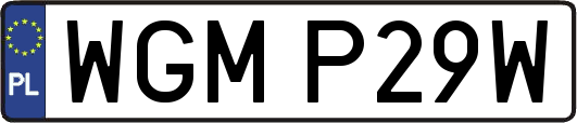 WGMP29W