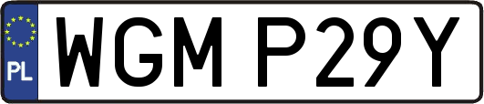 WGMP29Y