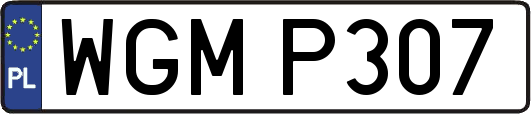 WGMP307