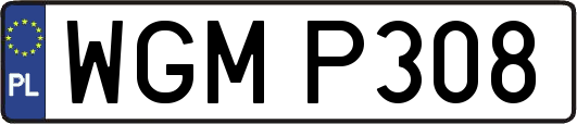 WGMP308
