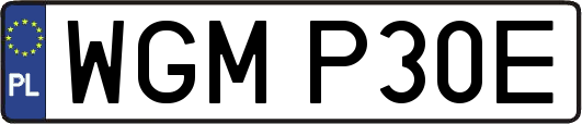 WGMP30E