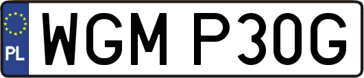 WGMP30G