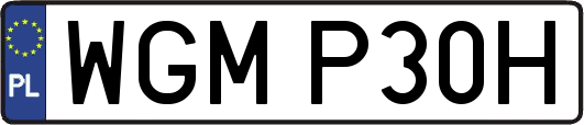 WGMP30H