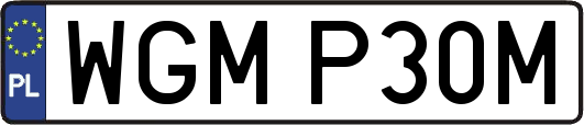 WGMP30M