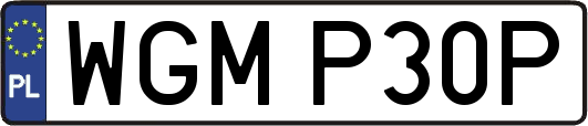 WGMP30P