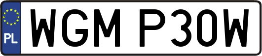 WGMP30W