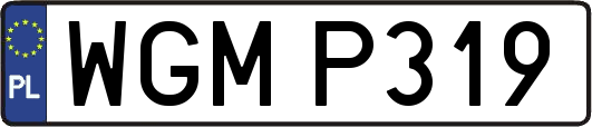 WGMP319