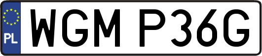 WGMP36G