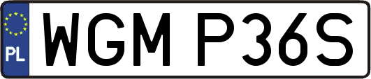 WGMP36S