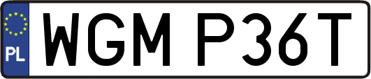 WGMP36T