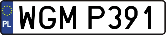 WGMP391