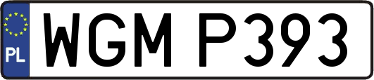 WGMP393
